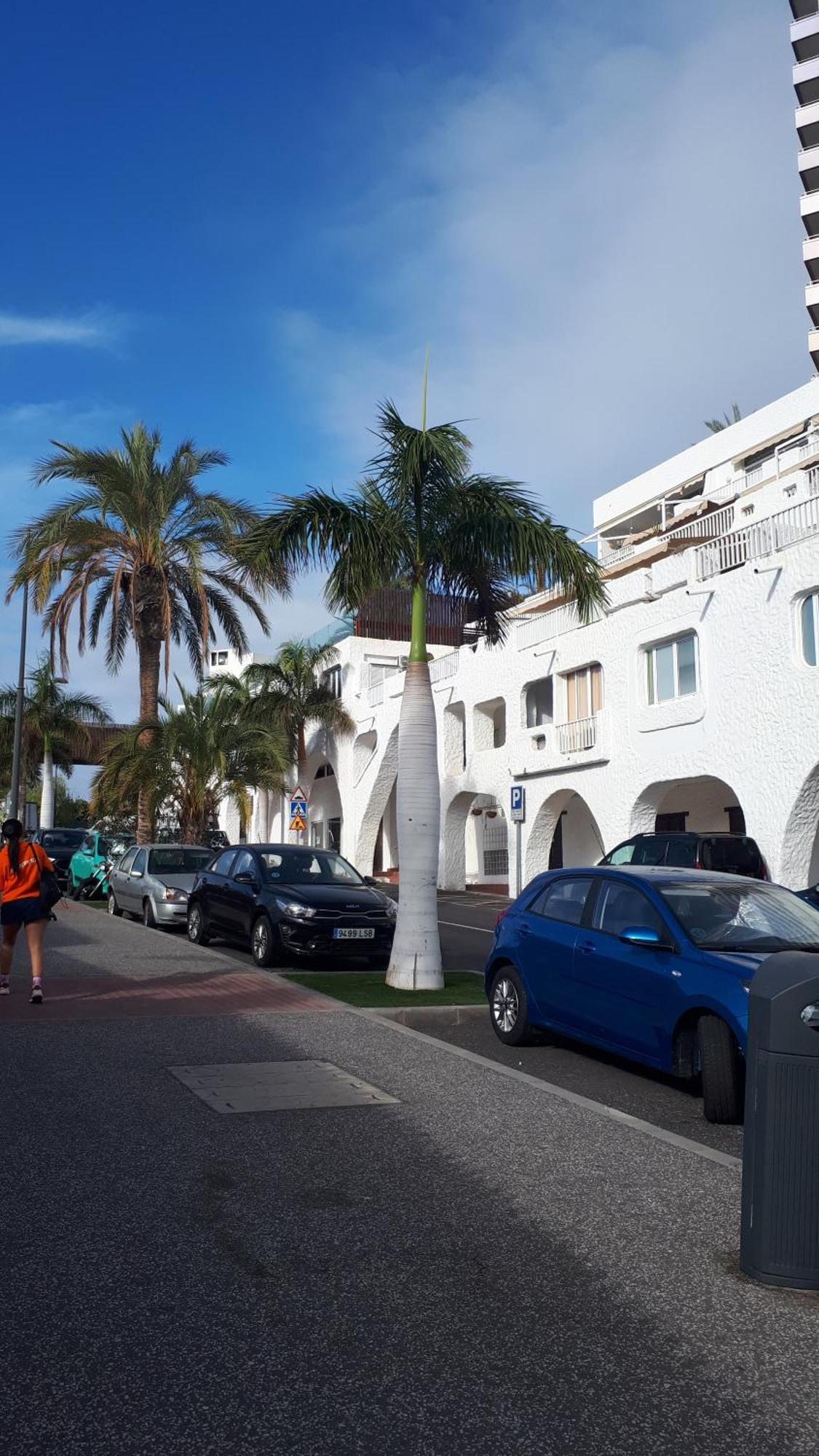 Spectacular View Playa Paraiso Costa Adeje  Exterior photo